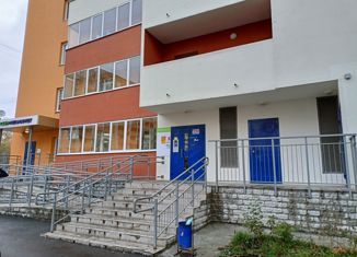 Продается однокомнатная квартира, 45 м2, Екатеринбург, Чкаловский район