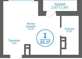 Продается квартира студия, 25.17 м2, деревня Патрушева, ЖК Никольский