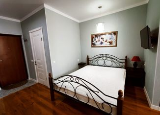 Сдается в аренду квартира студия, 40 м2, Пятигорск, улица Орджоникидзе, 5