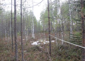 Продается земельный участок, 13 сот., посёлок городского типа Верхняя Максаковка, 1-я Белоборская улица