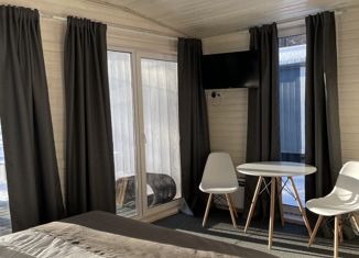 Продам 1-комнатную квартиру, 50 м2, Чебаркуль, территория База Отдыха Уральские Зори, 2