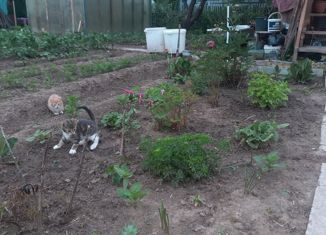 Продается дом, 65.4 м2, СНТ Победа