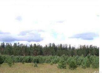 Продам участок, 25 сот., деревня Капчино