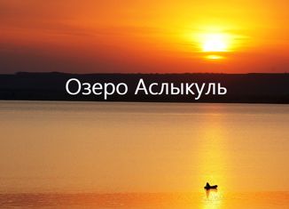 Продам участок, 10 сот., деревня Купоярово, Центральная улица, 48