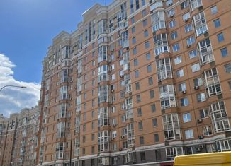 Продам однокомнатную квартиру, 44 м2, Москва, 6-я Радиальная улица, 3к11, станция Царицыно