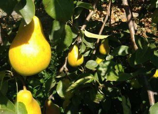 Дом на продажу, 132 м2, село Белое, Комсомольская улица, 35