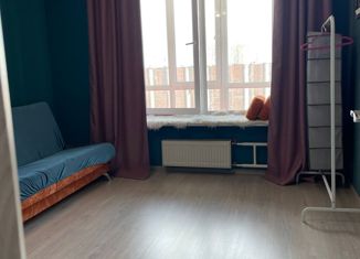 Продам 1-ком. квартиру, 34 м2, Санкт-Петербург, улица Турку, 1к2, улица Турку