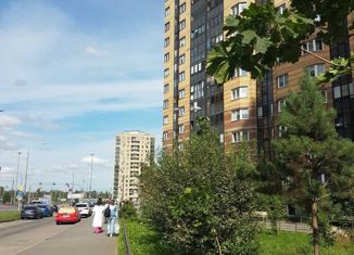 Квартира на продажу студия, 20 м2, Санкт-Петербург, Заречная улица, 41