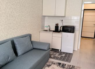 Сдаю в аренду квартиру студию, 27 м2, Анапа, улица Ленина, 202к1