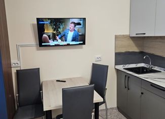 Аренда квартиры студии, 23 м2, Сосновоборск, проспект Мира, 19