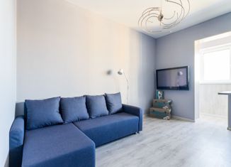 Продаю квартиру студию, 26 м2, Санкт-Петербург, проспект Королёва, 69, ЖК Каменка