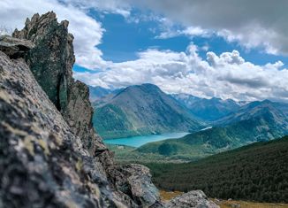 Участок на продажу, 25500 сот., Верх-Уймонское сельское поселение