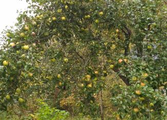 Продажа дома, 31 м2, Электросталь, СНТ Медик, 12А