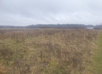 Продам земельный участок, 12 сот., деревня Бор, Центральная улица