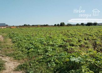 Продам участок, 30 сот., деревня Ручьи, Коммунистическая улица