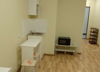 Сдам 1-комнатную квартиру, 29 м2, Новосибирск