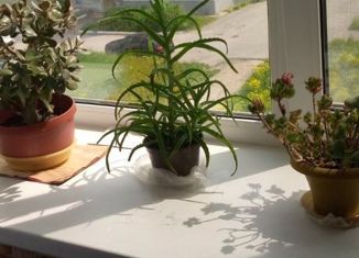 Продаю комнату, 12.9 м2, Соликамск, улица 20-летия Победы, 190