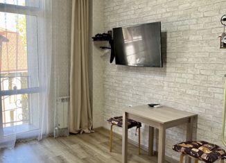 Продается квартира студия, 20.9 м2, Сочи, Кутаисская улица, 1, микрорайон Верхнеимеретинская Бухта