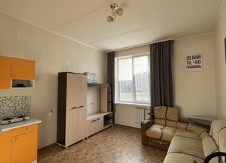 Квартира на продажу студия, 27.2 м2, Свердловская область, улица Мира, 40
