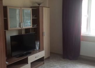 Однокомнатная квартира на продажу, 42 м2, деревня Куюки, 15-й квартал, 15, ЖК Светлый