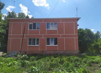 Продаю двухкомнатную квартиру, 41 м2, деревня Безлычное, Центральная улица, 1