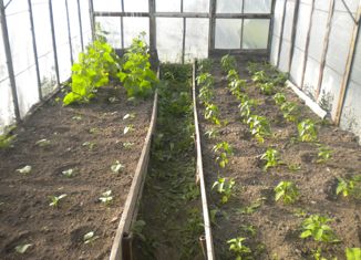 Продаю дом, 45.5 м2, деревня Гридино