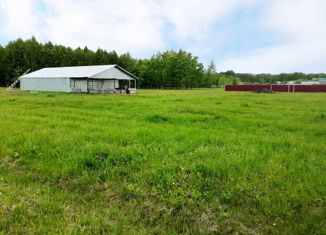 Продается земельный участок, 30 сот., деревня Ракитовка, Лесная улица, 14