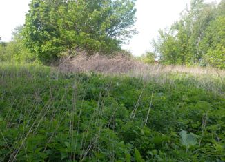 Продам участок, 28 сот., деревня Натальино