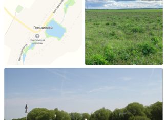 Продам участок, 13 сот., село Гнездилово, Центральная улица