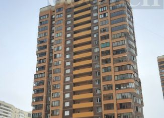 Продаю квартиру студию, 25.6 м2, Санкт-Петербург, проспект Кузнецова, 14к2, проспект Кузнецова
