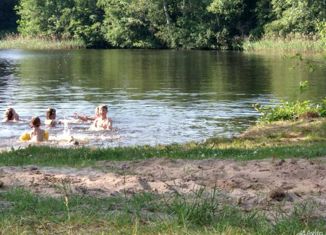 Продажа земельного участка, 10 сот., деревня Нелаи