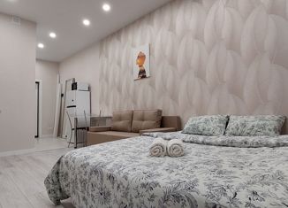 Продаю квартиру студию, 22.7 м2, Казань, улица Бехтерева, 9А, Вахитовский район