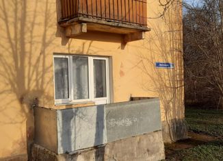 Продается двухкомнатная квартира, 43 м2, Сланцы, Партизанская улица, 19