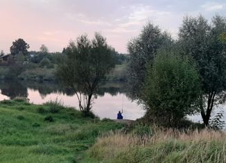 Продаю земельный участок, 10 сот., садоводческое некоммерческое товарищество Курьяново, садоводческое некоммерческое товарищество Курьяново, 48