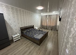 Сдается 1-комнатная квартира, 30.3 м2, Краснодарский край, Новороссийская улица, 110