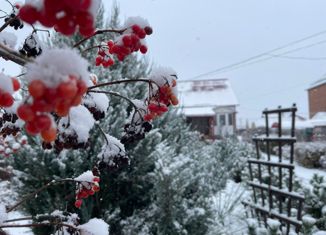 Продаю дом, 325.6 м2, деревня Тамьян, улица Николая Хлопотина, 6