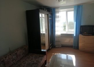 Продажа 1-комнатной квартиры, 19.4 м2, Партизанск, Московская улица, 49/3