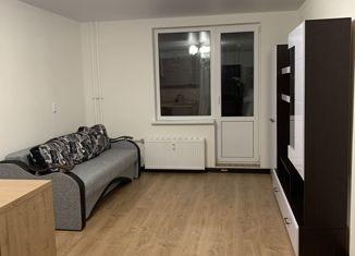 Сдам в аренду квартиру студию, 29 м2, Мурино, улица Шувалова, 40, ЖК Цвета радуги