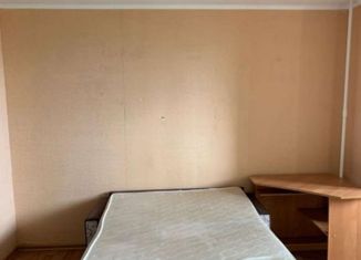 Сдаю квартиру студию, 31 м2, Тосно, улица Блинникова, 6