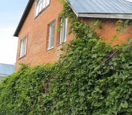 Продам дом, 284.9 м2, деревня Ботня, Центральная улица, 28