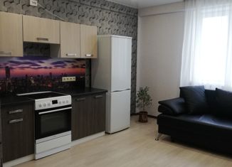 Сдается 1-комнатная квартира, 42.3 м2, Екатеринбург, улица Громова, 28, улица Громова