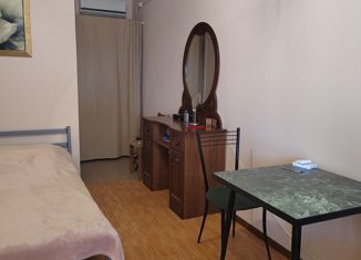 Квартира на продажу студия, 17 м2, Сочи, Православная улица, 35Б, микрорайон Энергетик-Изумруд