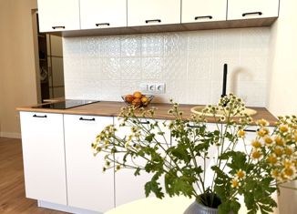 Продажа квартиры студии, 27.2 м2, Краснодар, улица Героя Пешкова, 14к2, ЖК Парк Победы