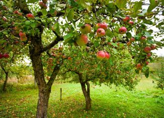 Дом на продажу, 45 м2, деревня Рыкакасы