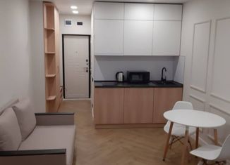 Продается 1-комнатная квартира, 24 м2, Сочи, Фермерский переулок, 10А, микрорайон Энергетик-Изумруд