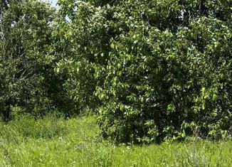 Продам участок, 12 сот., деревня Бояркино