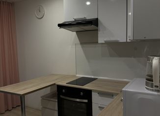 Продам квартиру студию, 23.8 м2, поселок Бугры, Новая улица, 7