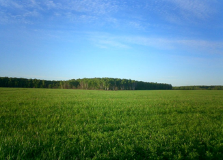 Продаю участок, 15 сот., деревня Горынево, 49Н-1136