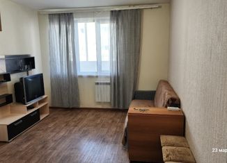 Сдается в аренду квартира студия, 29 м2, село Засечное, Светлая улица, 7