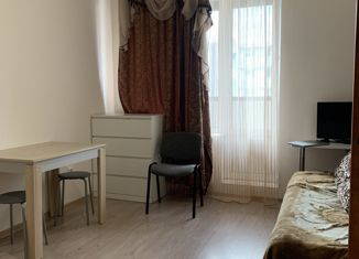 Продам квартиру студию, 21.5 м2, Кудрово, Пражская улица, 11, ЖК Вернисаж